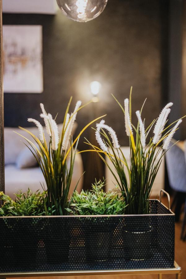 La Vida Apartments Bar Ngoại thất bức ảnh